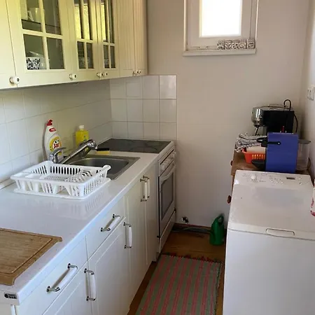 Tatil Evi U Svahu *